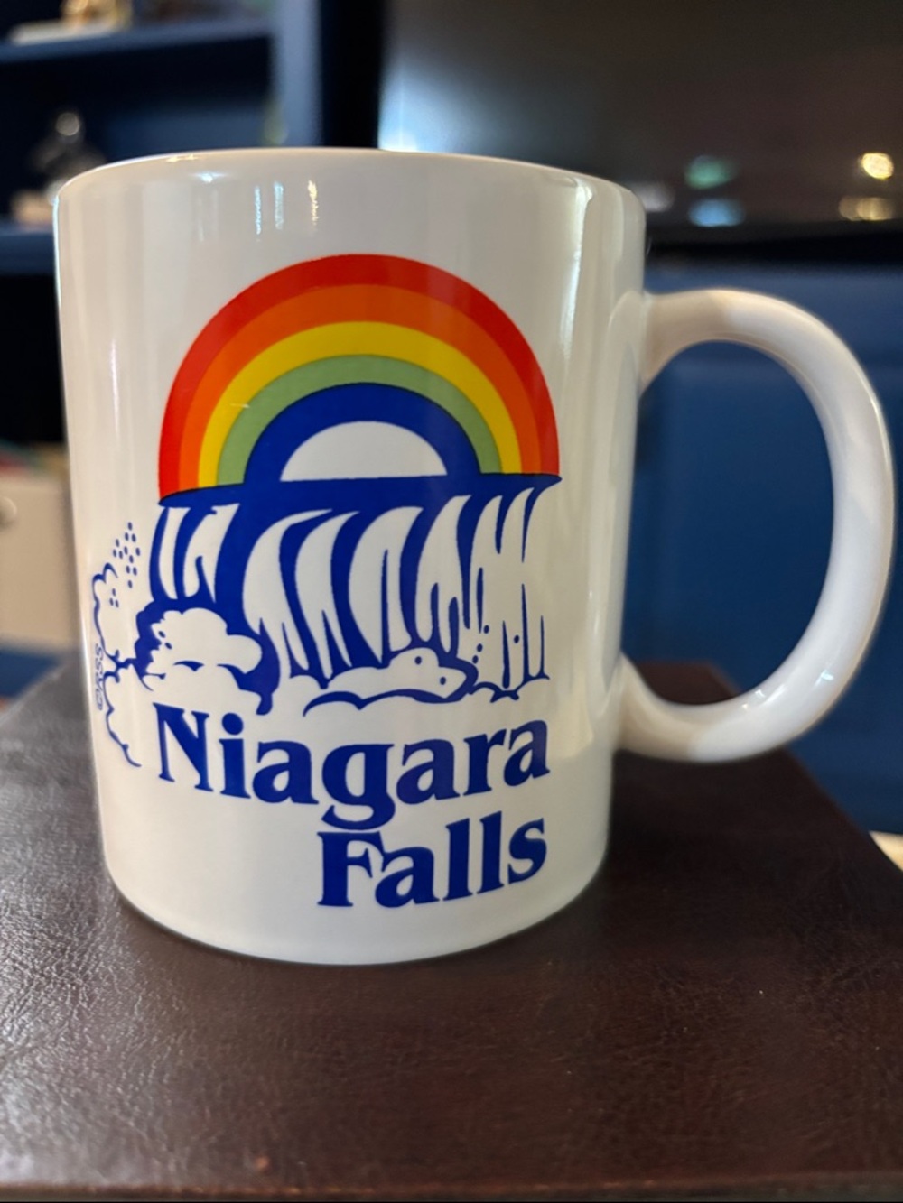 Niagara Falls White Ceramic Mug with Rainbow Design